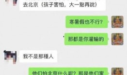 张兰最新爆料聊天记录,揭秘与某明星的惊人聊天记录